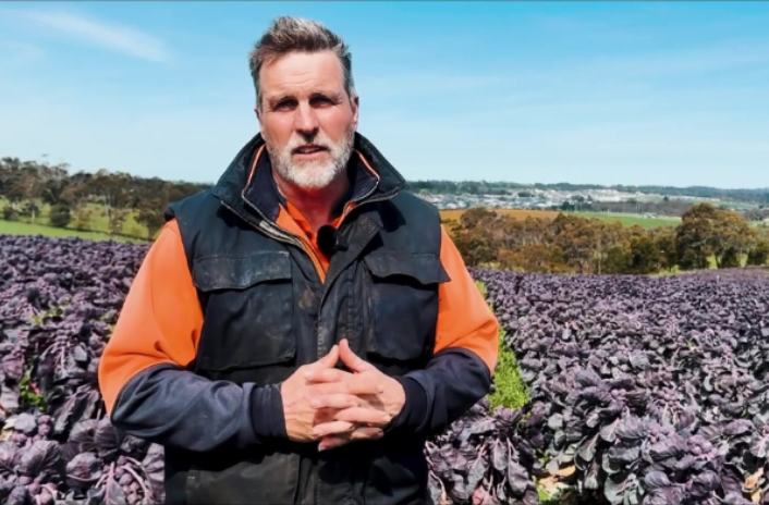 Brussels sprout producer transforms spray operations with MagrowTec